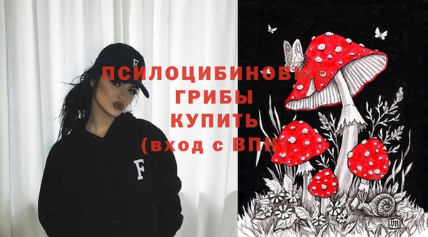 прущая мука Алзамай